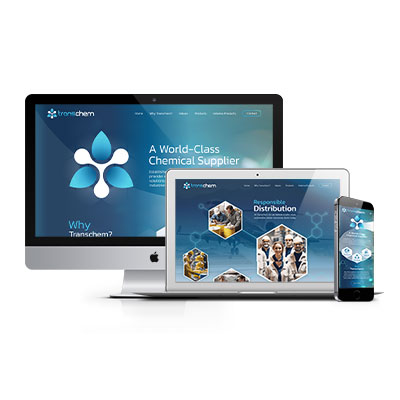 chase design web portfolio transchem 01b